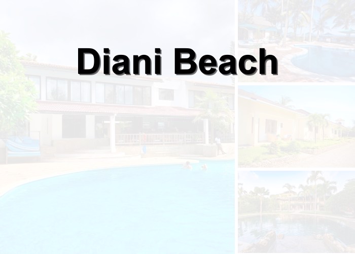 blog Diani Beach: Plážová romance a divoká džungle – Tři tváře keňského pobřeží