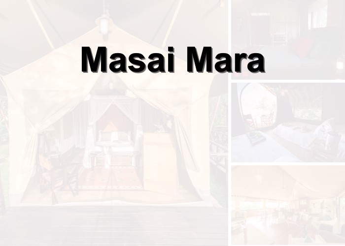 blog Masai Mara: Velká migrace, divocí Masajové a ubytování v srdci savany