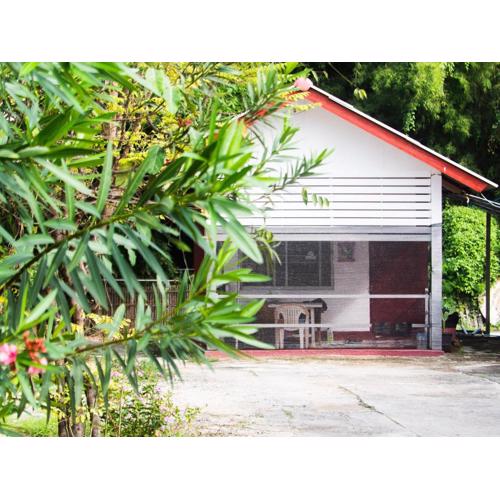 ฮ้ายรายวัน - Haidaily