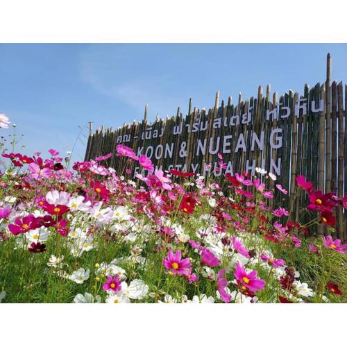คูณ-เนื่อง ฟาร์ม สเตย์ หัวหิน Koon & Nueang Farm Stay Hua Hin