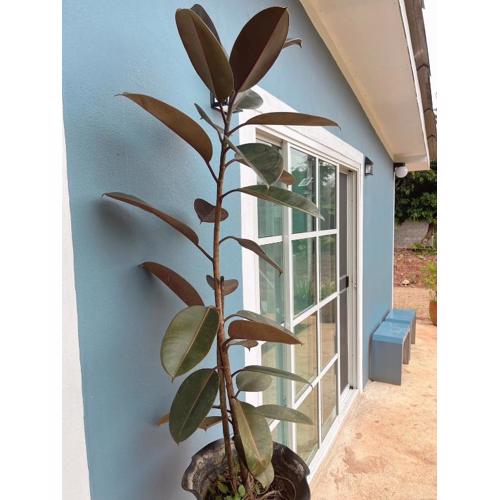 บ้านพอดีโฮมสเตย์ทองผาภูมิ -กาญจนบุรี