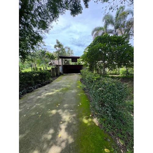 บ้านสวนแม่แพร-Baan Suan Mae Pair