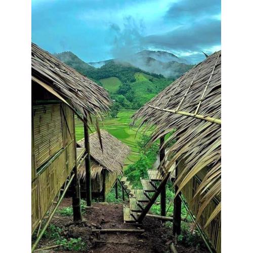 บ้านไม่ไผ่บ้านเวร-BambooHouse Banwen