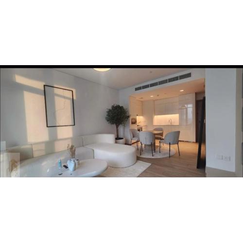 1 bed room and hall apartment