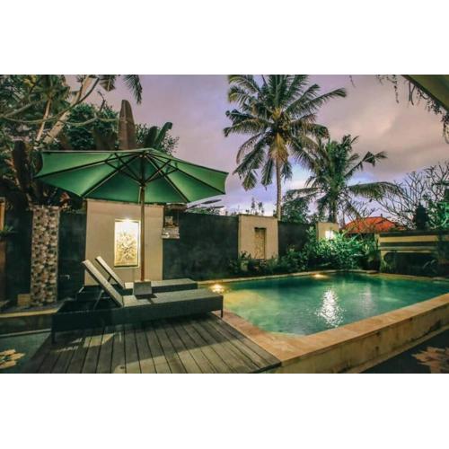 1 Bed Room Villa for Rent in Sayan, Ubud