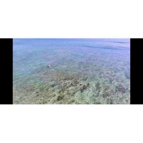 1 King-size bedroom villa with pool & ocean view