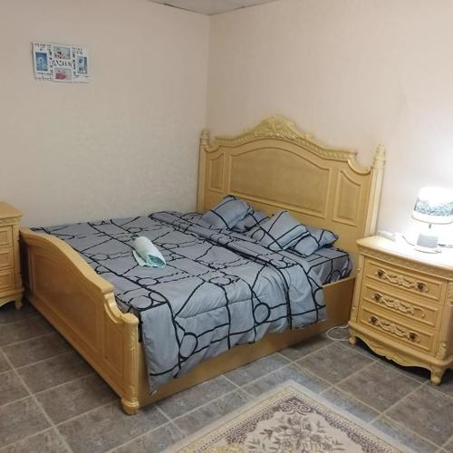 العين الهيلي مصباح ب1