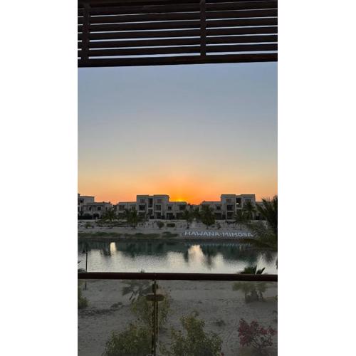 شقق للإيجار في هوانا 1