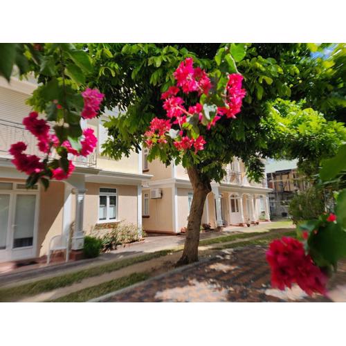 2 bedroom apartment in Bain Boeuf