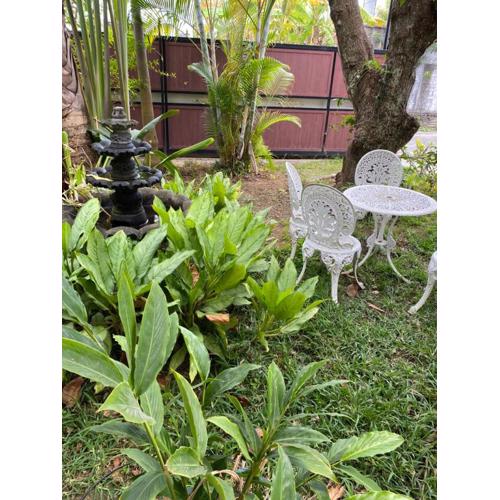 2 Bedroom Apartment in Pereybere with Private Balcony