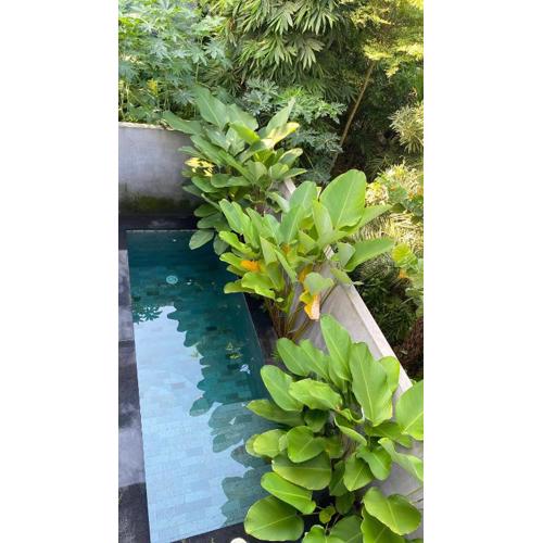 2 Bedroom Villa In Sanur Harbour