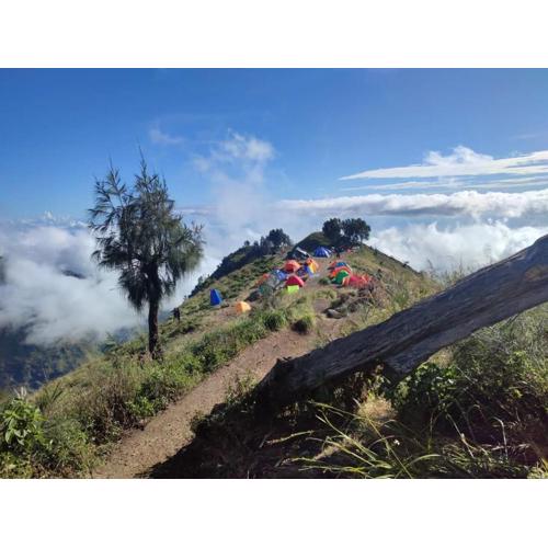 2Days Shared Camping At Mount Rinjani