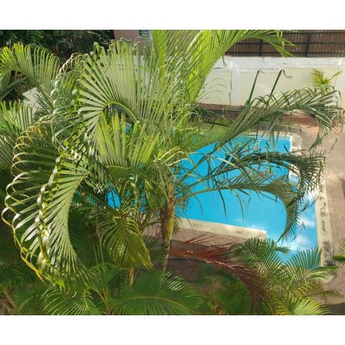 3 Bed Appartment Pereybere