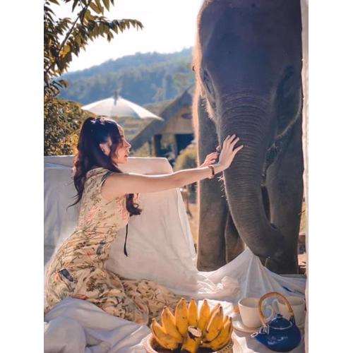 3 Pok Maewang jinxiang Gold elephant park