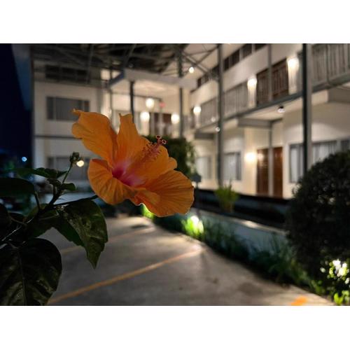 3B Boutique Hotel & Restaurant