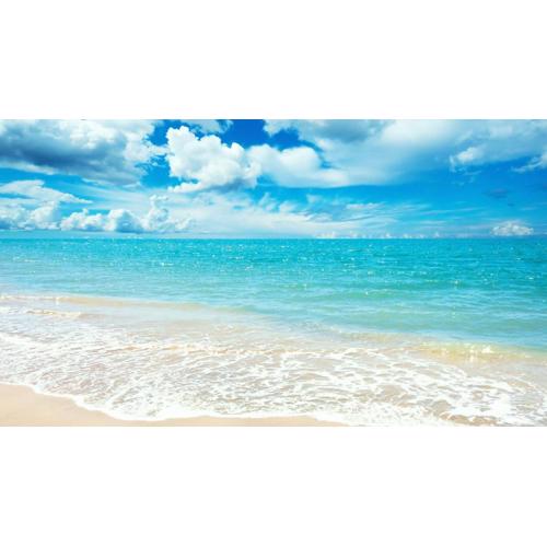 4 Bedroom Apartment near the Beach