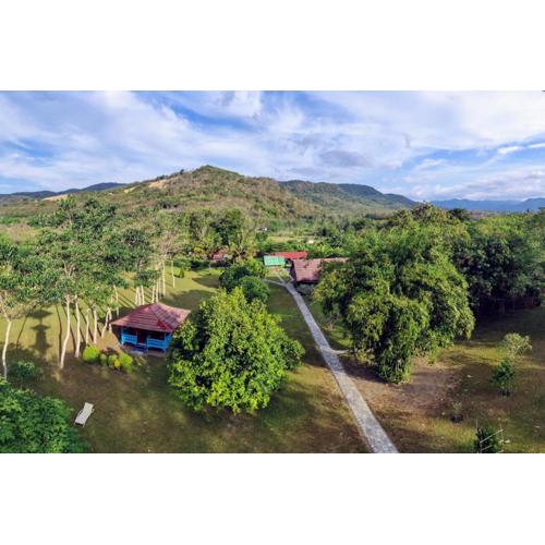 4 Pohon - Les 4 Arbres