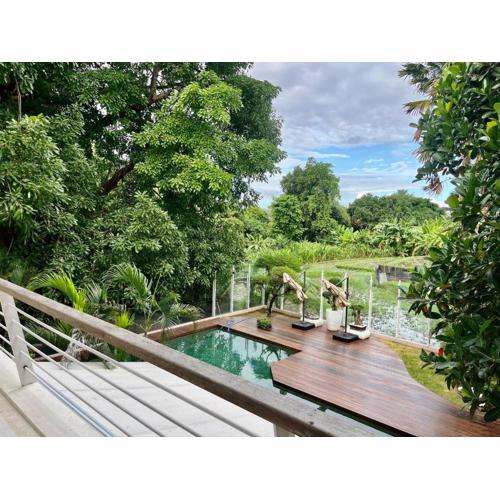 450 квадратных метров, Вид на Рисовое Поле и Лес