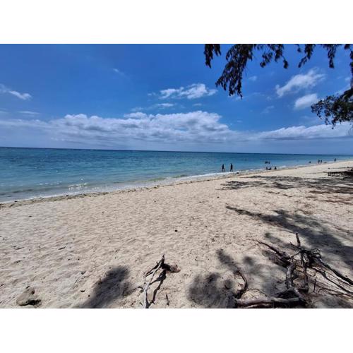 4Beds- Beachfront Bungalow