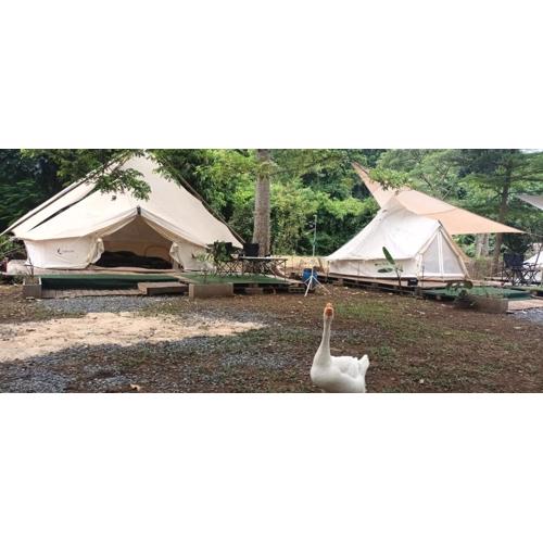 5 meter belle tent for 5 people