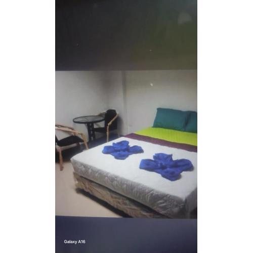 505ชมเดือน