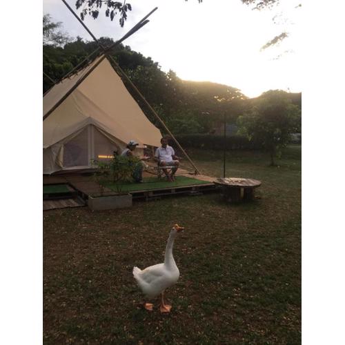 5m Belle Tent for 4 people