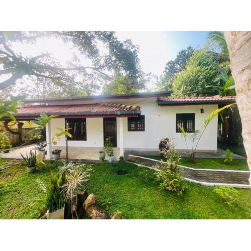 Своя компания