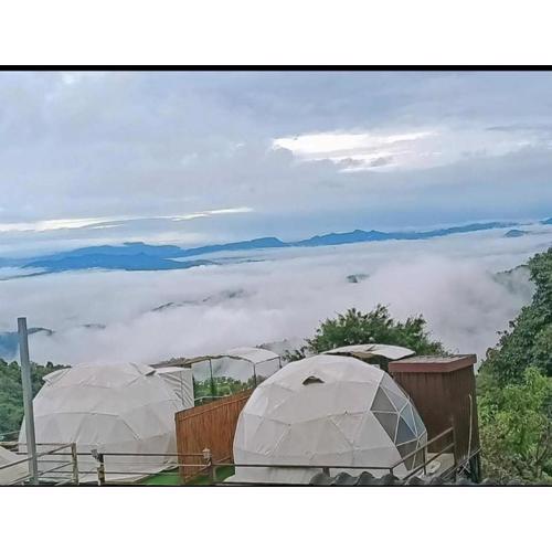 กรีนโซน แคมป์ปิ้ง