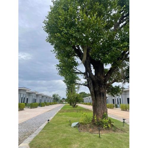 กลางนา รีสอร์ท