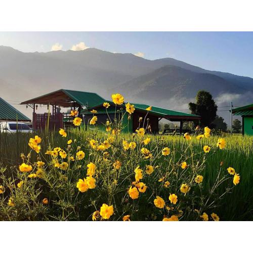 ชมนาโฮมสเตย์บ้านนาคำ