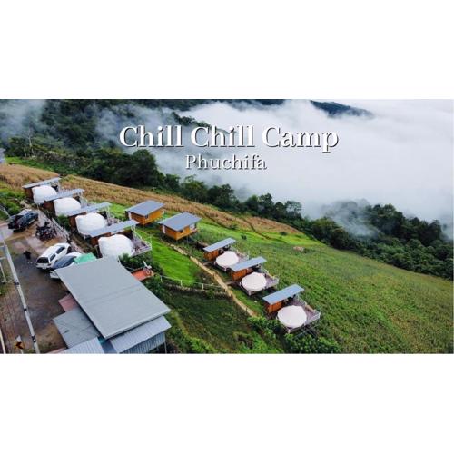 ชิวชิวแคมป์ ภูชี้ฟ้า