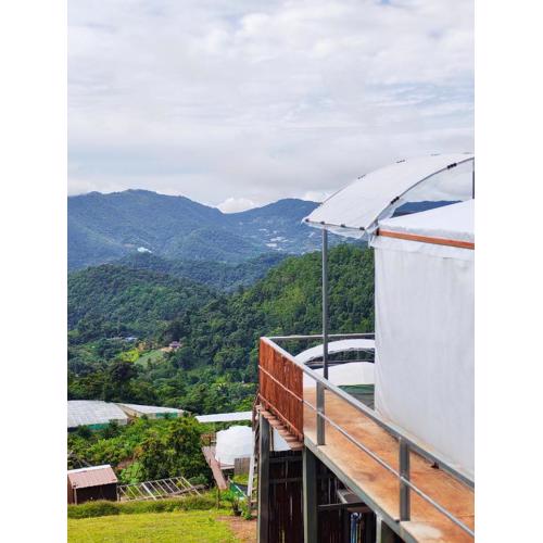 ชูชัยฟาร์มสเตย์ ม่อนแจ่ม