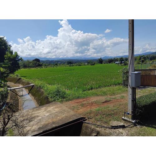 ข่วงนาฟาร์มวิว