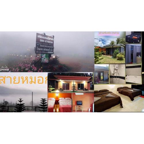 เฟรนด์แคมป์