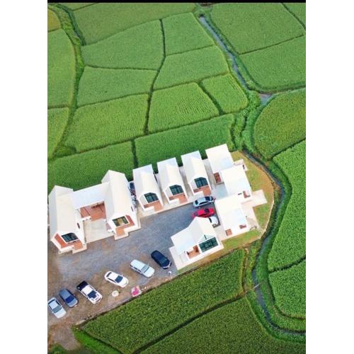 เดอนาปัว วิลล่า