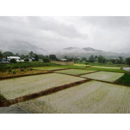 เฮือนป้อหลวง