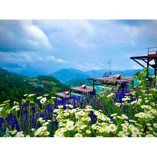 แสงเหนือแคมป์ปิ้งม่อนแจ่ม