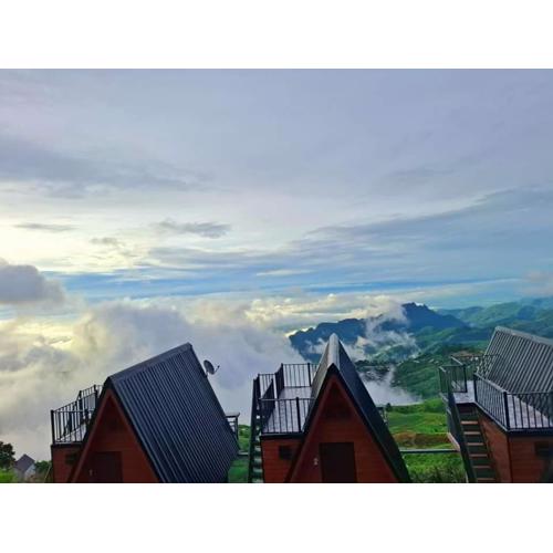 เลิฟวิว ภูทับเบิก