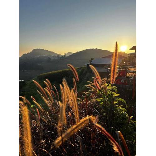 เอนจอยดอยแจ่ม