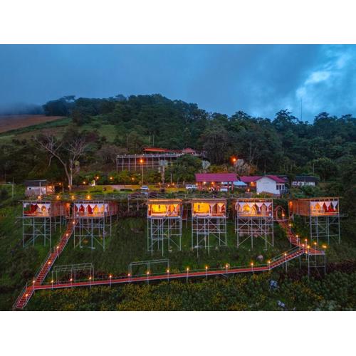 หลงฮักเขาแคมป์ปิ้ง ภูชี้ฟ้า