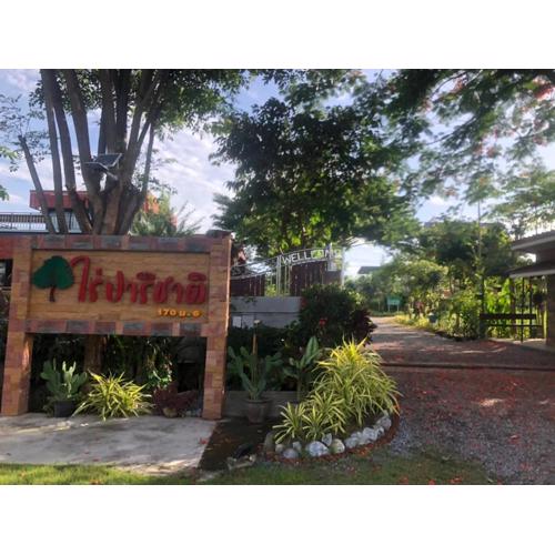 ไร่ปาริชาติ