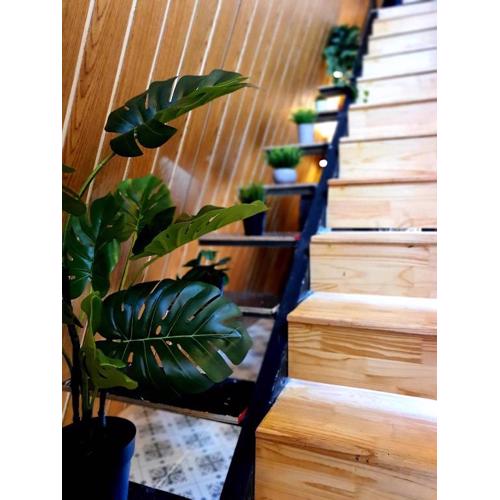 บ้านนกฮูก อิงธารา