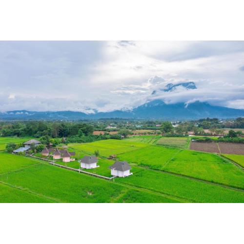 บ้านผ่อดอยกอยดาวพรีเมี่ยม