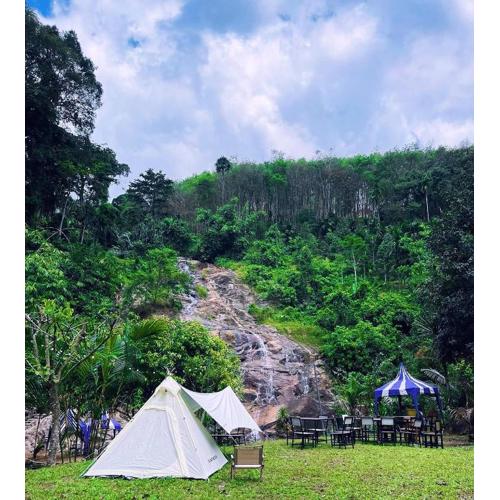 ท่าเเพ ฟอเรสต์ รีสอร์ต