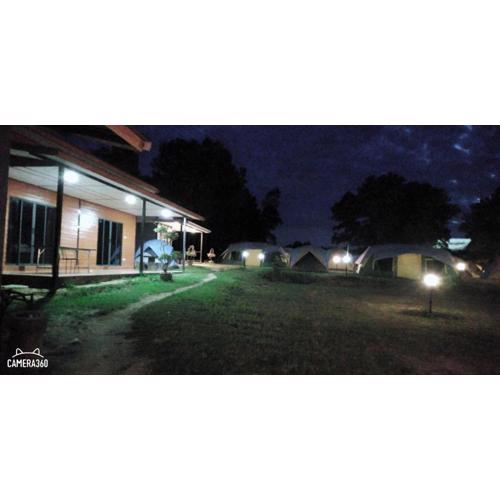 น็อคดาวน์