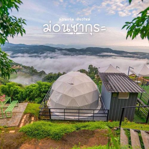 ม่อน ซากุระ ม่อนแจ่ม