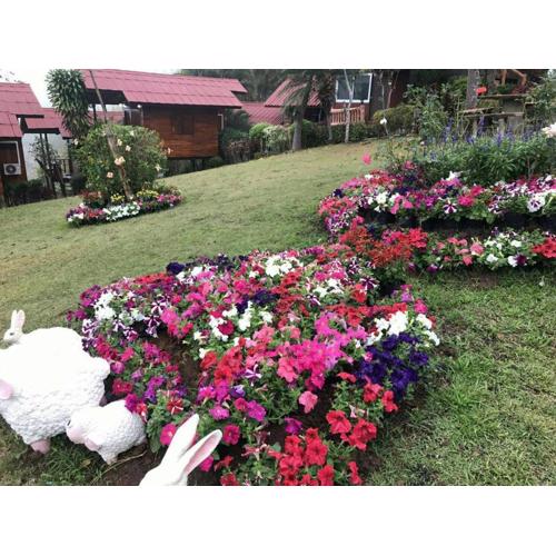 ภูน้ำทิพย์ รีสอร์ท