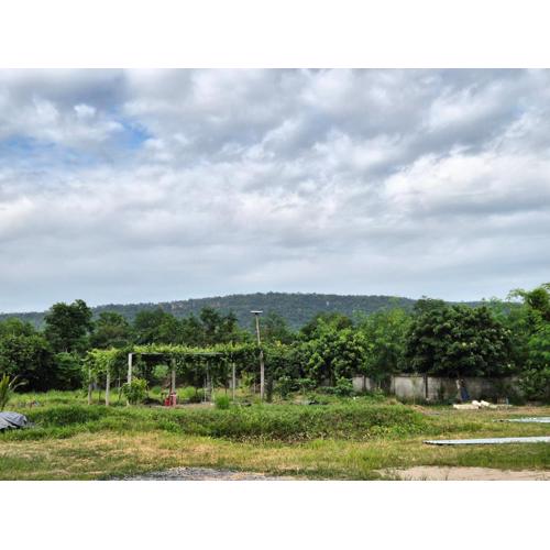 มนัสนันฐ์บ้านสวนรีสอร์ท หนองบัวลำภู