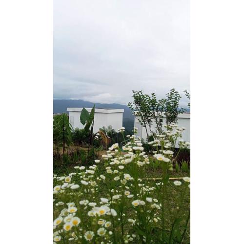 ภูศิโยน ม่อนแจ่ม