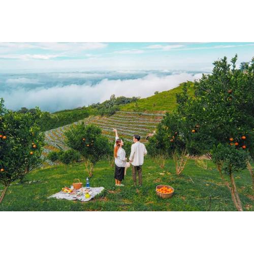 ภูแสงเทียน โฮมสเตย์